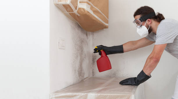 Professional Crawl Space Mold Remediation technician working in Glenelg, MD